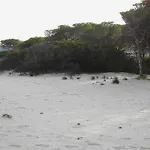 Casetta Sul Mare