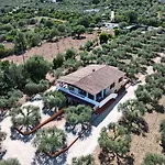 Rustico Degli Ulivi