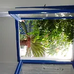 La Porta Blu