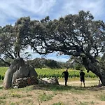 Guest Art In Gallura - Ixihome