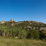 Gallo Di Rena