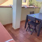 Sax'S House
