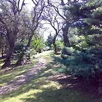 Greenvilla