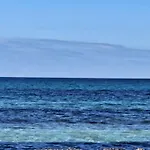 La Flabellina Blu