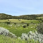 House In Rural Sardinia
