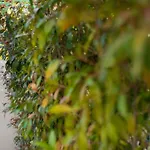 Villetta Li Junchi - Due Passi Dal Mare - Spazioso Giardino