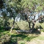 Stazzu Straetu Antico Stazzo Gallurese Con Vista Sul Golfo Di Olbia