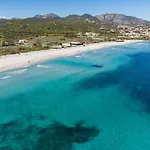 Sea Shell - Klodge