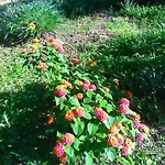 Farm Stay Gli Oleandri