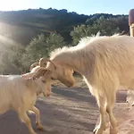 Agriturismo Su Madau Gioiosu
