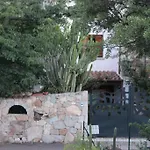 B&B Chorisia