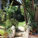 B&B Chorisia
