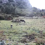 B&B Supramonte