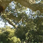 Agriturismo Santa Barbara