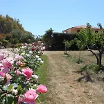 Bed And Breakfast Le Camelie