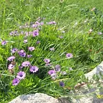 Agriturismo Spridda