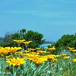 Le Dimore Di Baia Santa Reparata