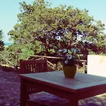 Mirto E Mare
