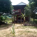 Bonsai