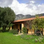 Oasi Verde