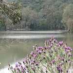 Olaspri