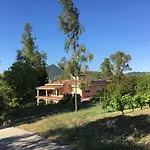 Pinetrees