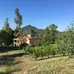 Pinetrees