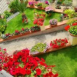 B&B Il Giardino Da Pina