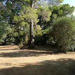 Villetta Nella Pineta Santa Margherita Di Pula