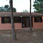 Pineta Spiaggia Grande 2