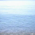 Gli Ulivi