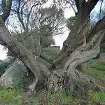 Casa Eleonora