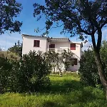 Mimosa Bilocale