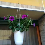 I Nuraghi II