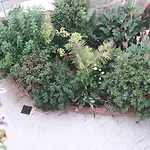 Bed And Breakfast Le Petunie