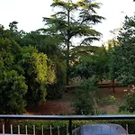 Le Pavoncelle