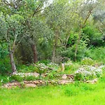 Agriturismo Sogno Latino