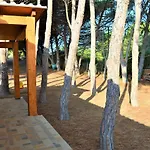 Pineta Spiaggia Grande 2