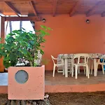 Pineta Spiaggia Grande 2