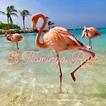 El Flamingo Rosa Cod IUN P5386