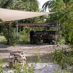 Iguanitas