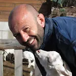 Sas Abbilas