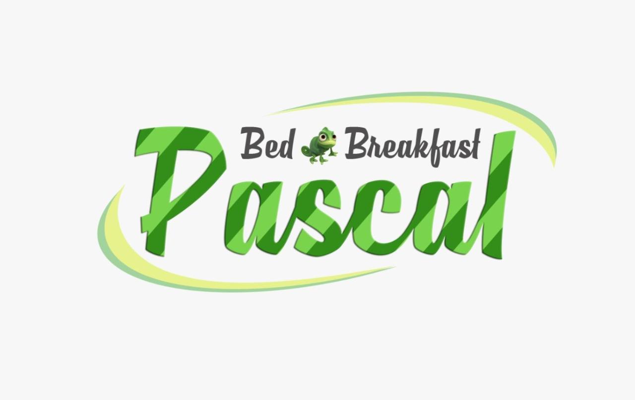 Pascal Bed & Breakfast