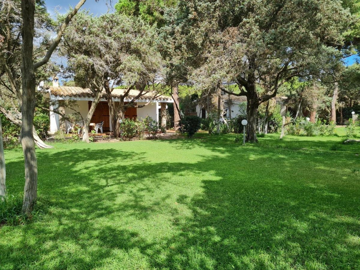 1 Ferienhaus