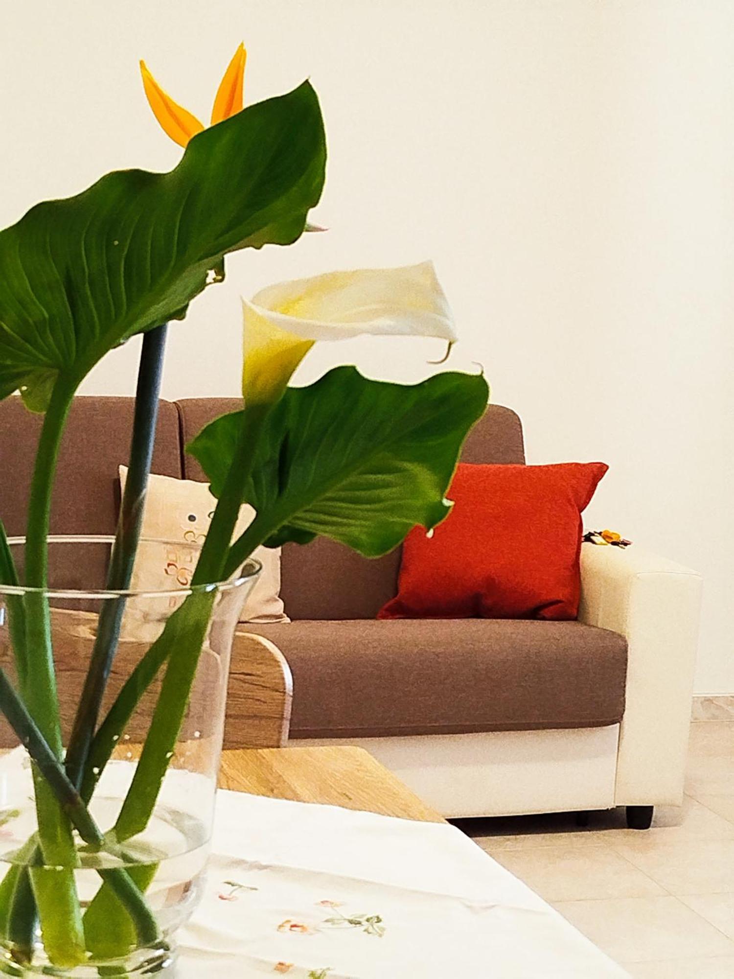 I Corbezzoli Apartment *