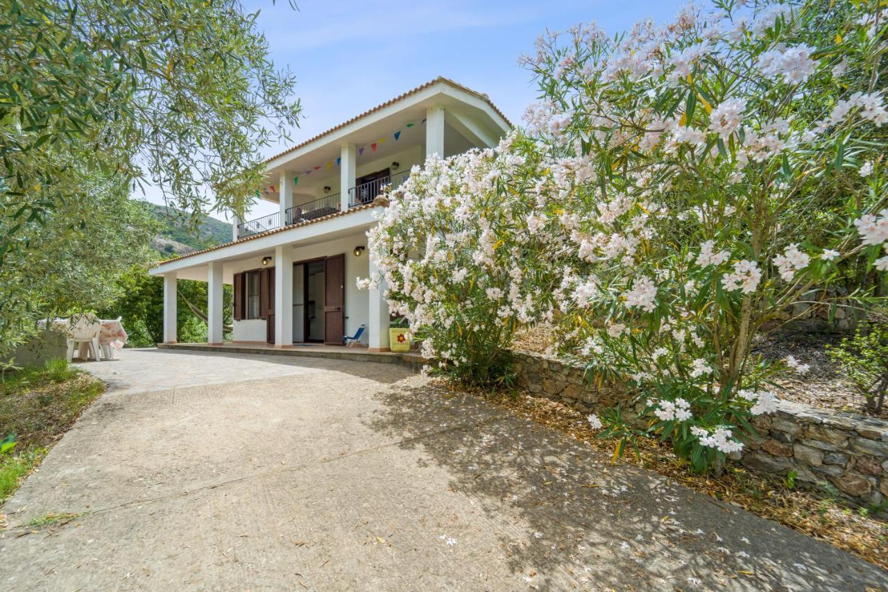 Holiday home Casa Natura