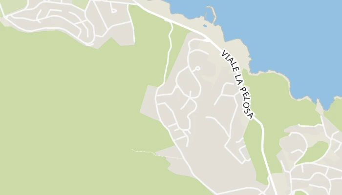Kort