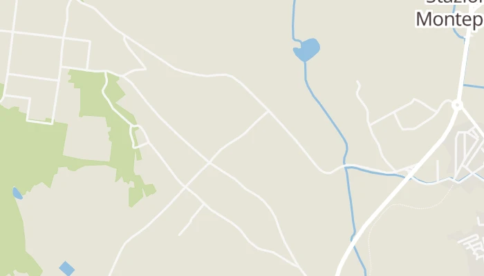 Χάρτης