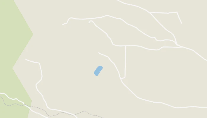 Kort