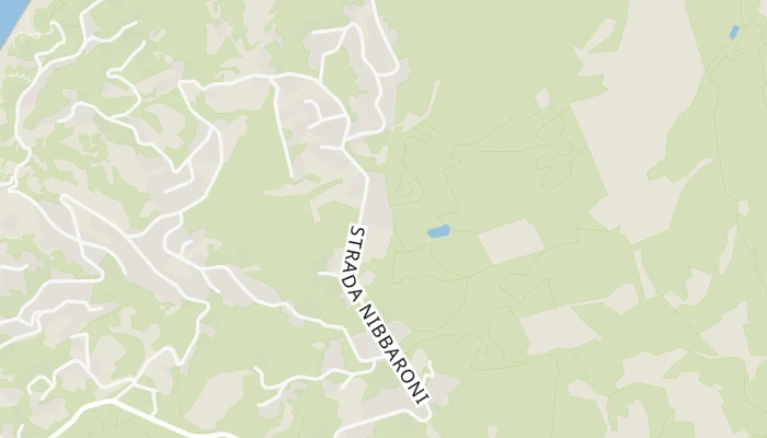 Χάρτης
